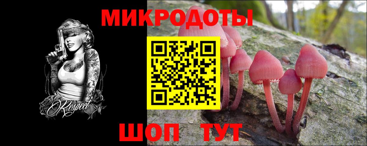 Кувандык  Галлюциногенные грибы Psilocybe  Галлюциногенные грибы ЛСД  Вход с VPN 