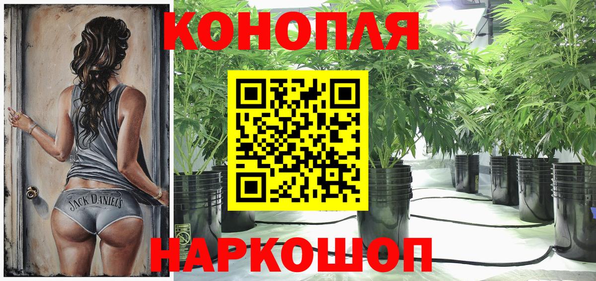 Канабис конопля  Каннабис VHQ  Кувандык  Вход с VPN  Бошки марихуана семена  Канабис ГИДРОПОН 
